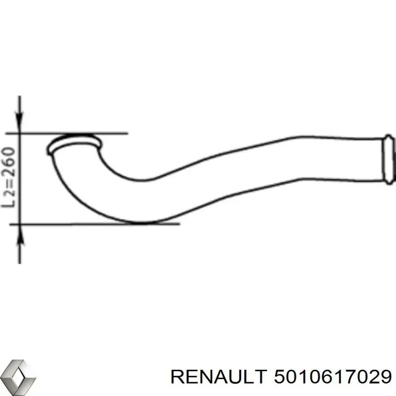  5010617029 Renault (RVI)