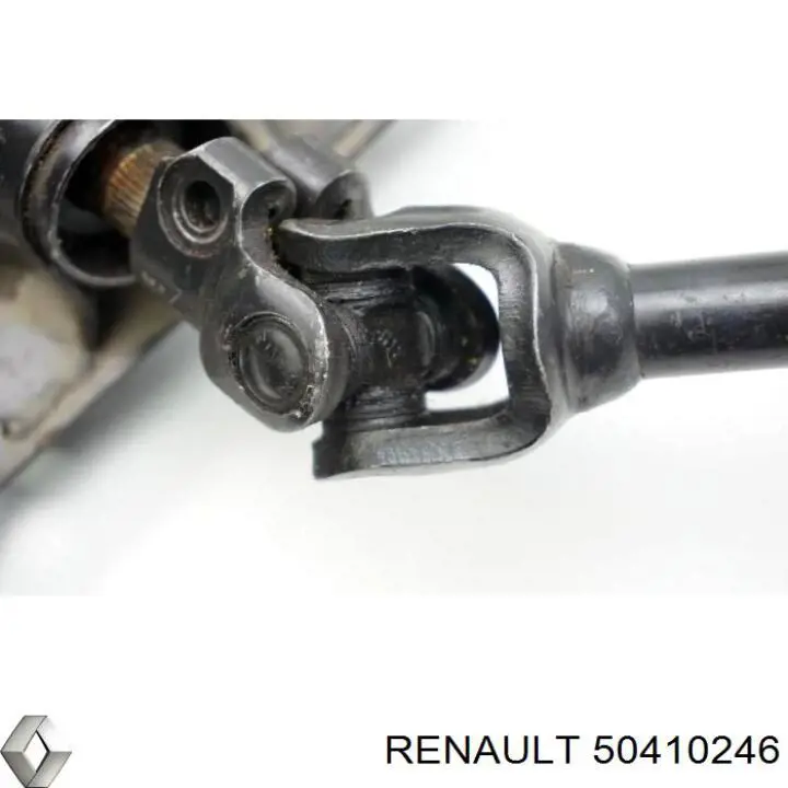  50410246 Renault (RVI)