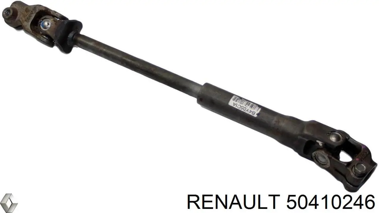 50410246 Renault (RVI) 