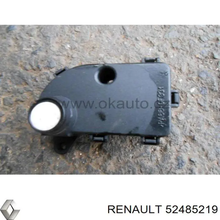  52485219 Renault (RVI)