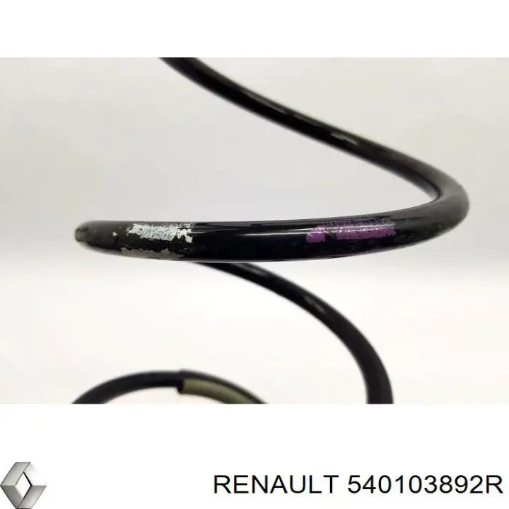 Пружина передня Renault (RVI) 540103892R ціна, від 20.99 USD