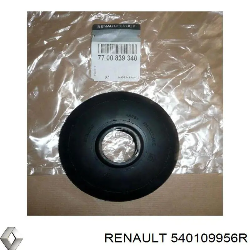 540109956R Renault (RVI) пружина передня