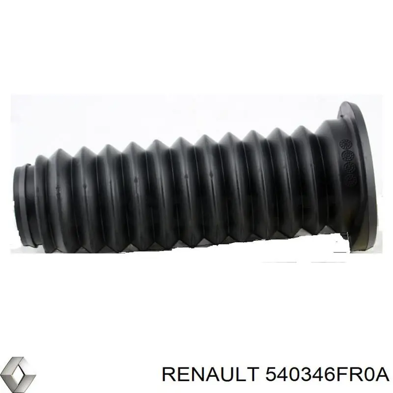  540346FR0A Renault (RVI)