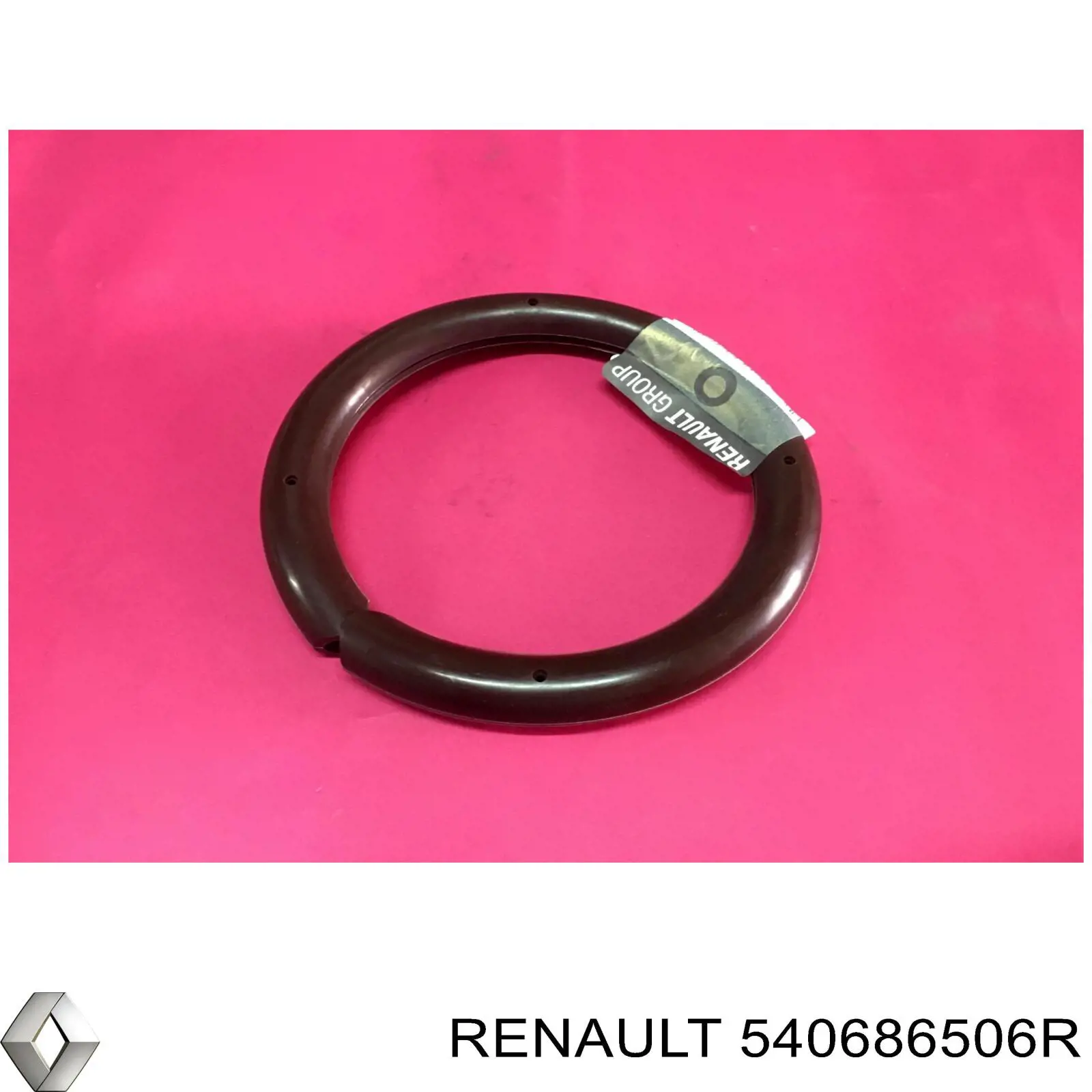  Renault (RVI) 540686506R ціна, від 53.23 USD