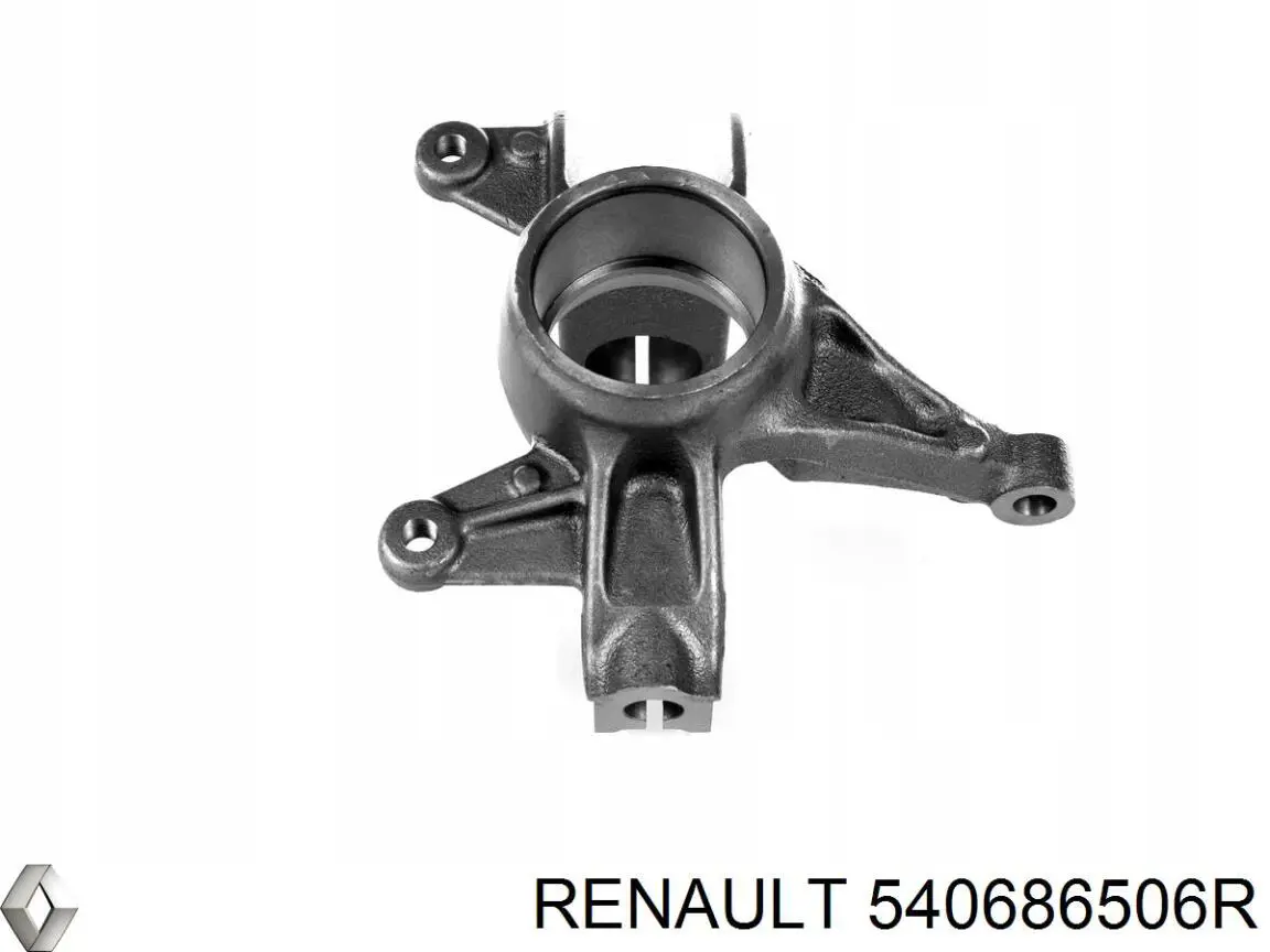 540686506R Renault (RVI) 