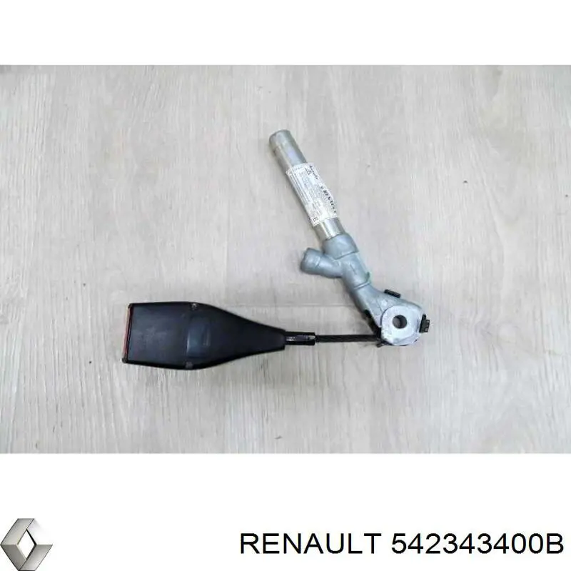 Купити 542343400B Renault (RVI) 