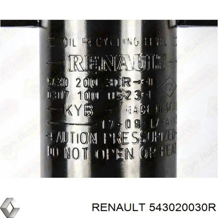 Стойка амортизатора передняя Renault (RVI) 543020030R ціна, від 59.40 USD