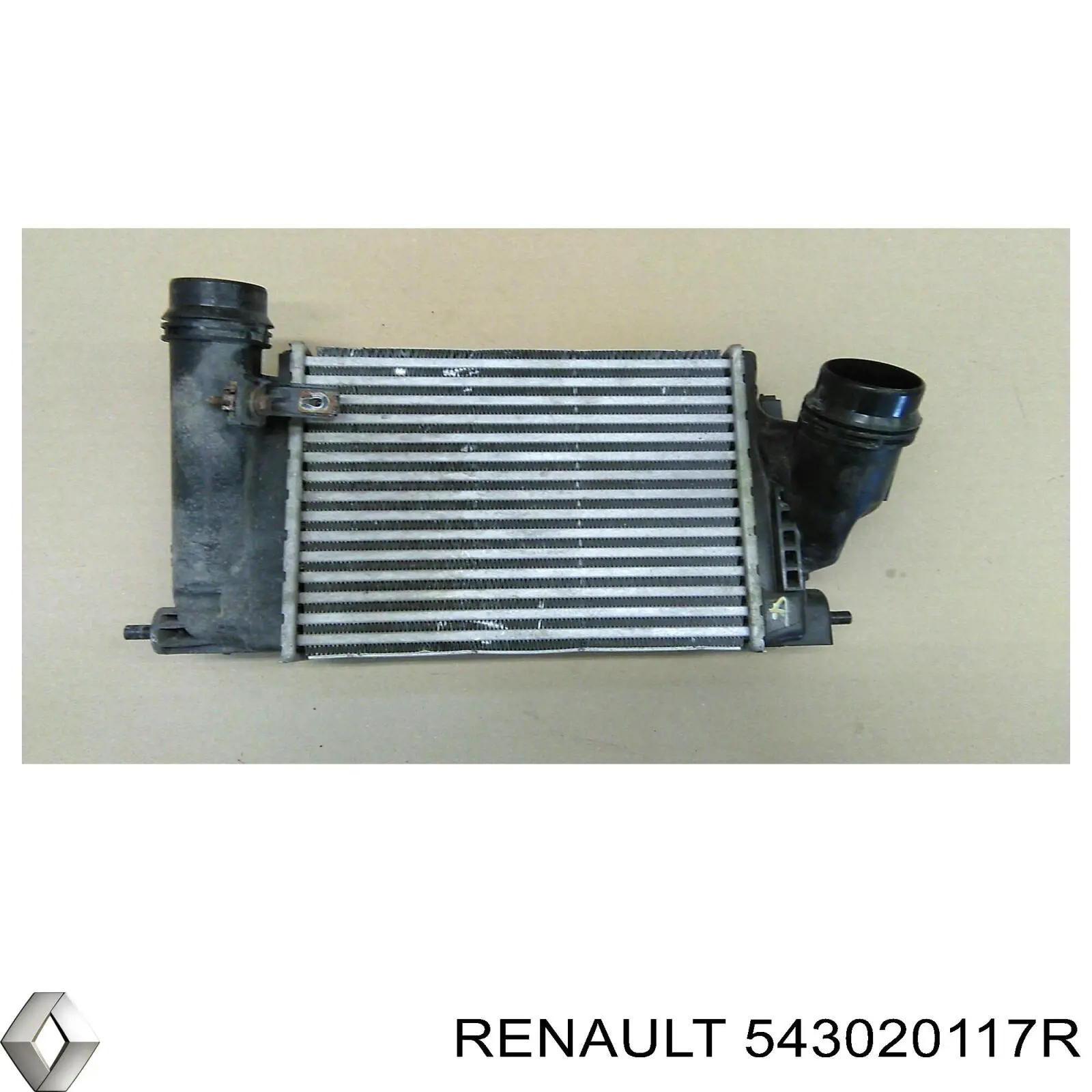 543020117R Renault (RVI) амортизатор передній
