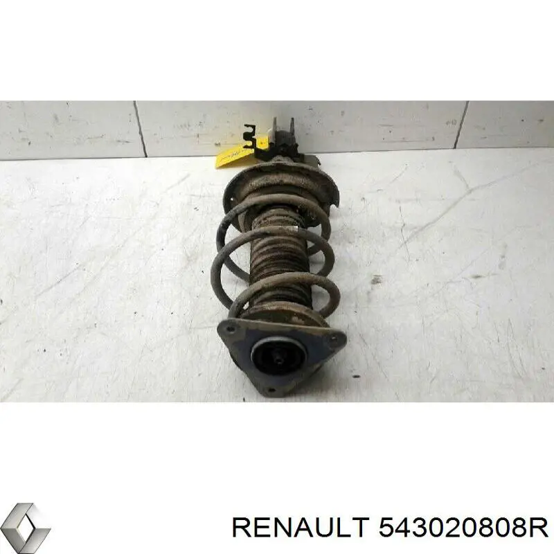 Стойка амортизатора передняя Renault (RVI) 543026122R ціна, від 66.08 USD