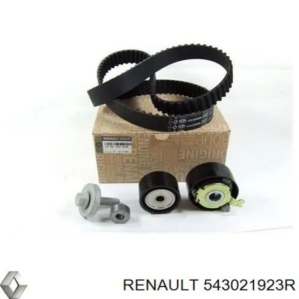 Амортизатор передній 543021923R Renault (RVI)