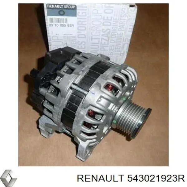 Стойка амортизатора передняя Renault (RVI) 543021923R ціна, від 109.75 USD