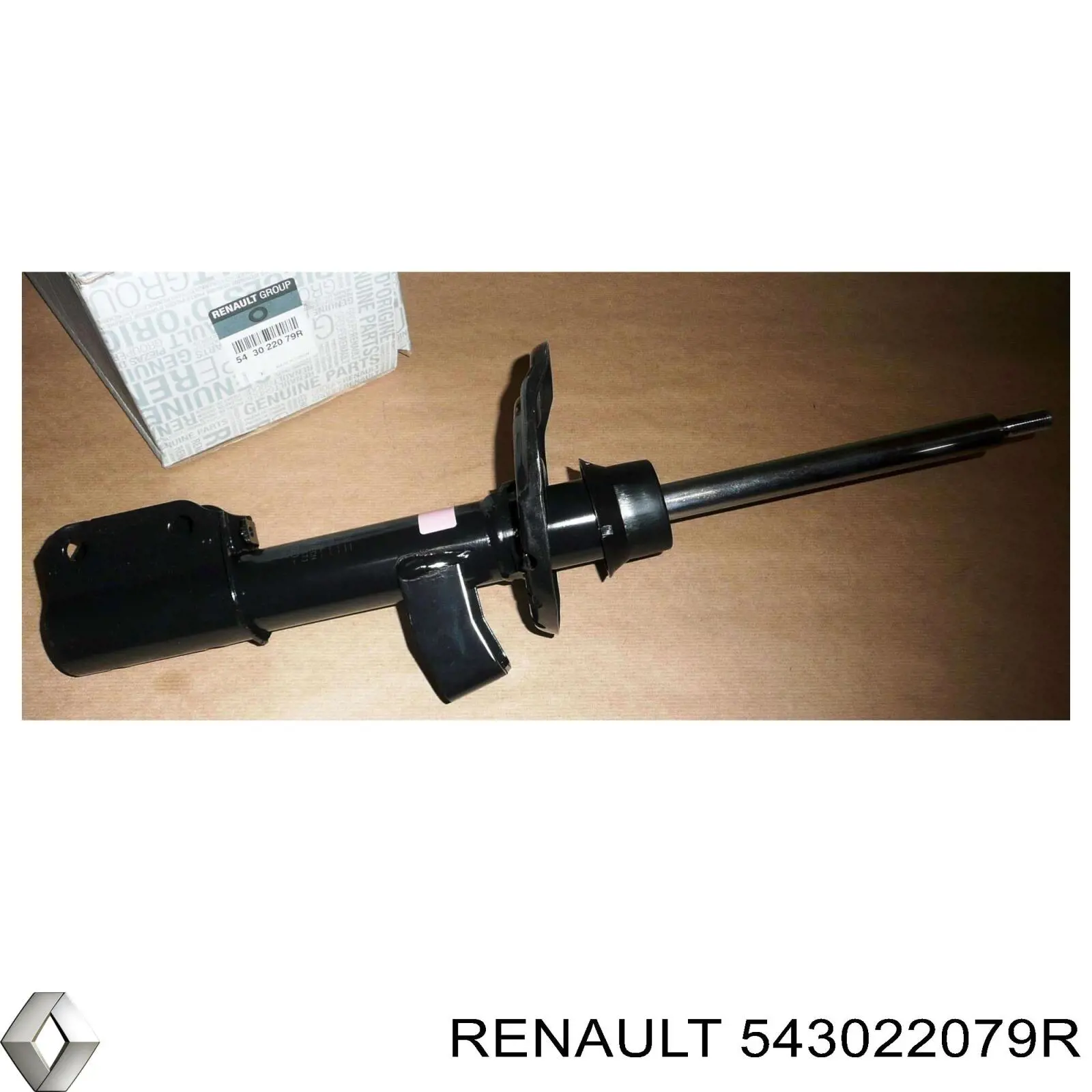 Амортизатор передній 543022079R Renault (RVI)