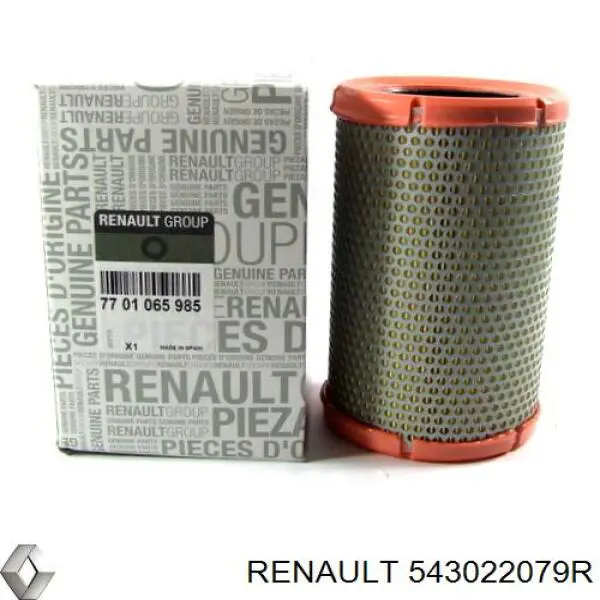 Амортизатор передній 543027472R Renault (RVI)