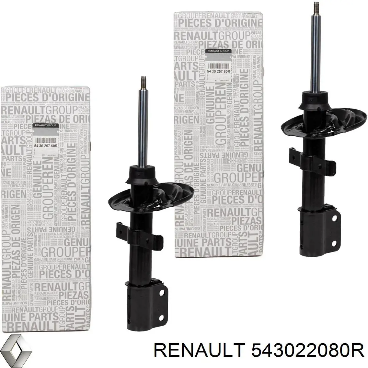 Амортизатор передній 543026122R Renault (RVI)