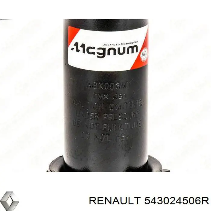 Стойка амортизатора передняя Renault (RVI) 543024506R ціна, від 142.22 USD