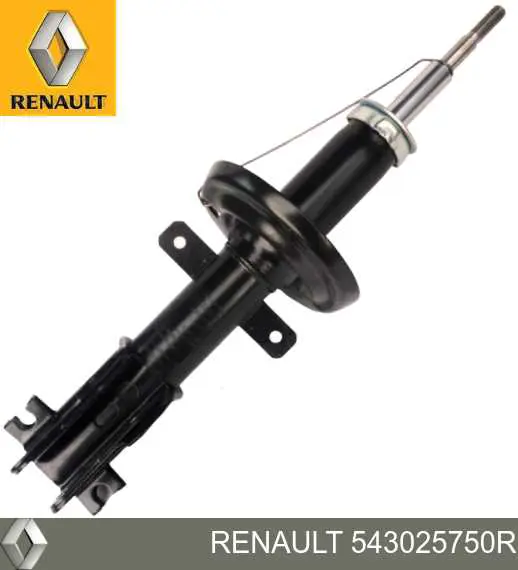 Стойка амортизатора передняя Renault (RVI) 543025750R ціна, від 63.37 USD