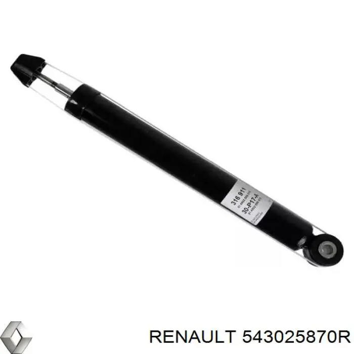 Амортизатор передній 543025870R Renault (RVI)