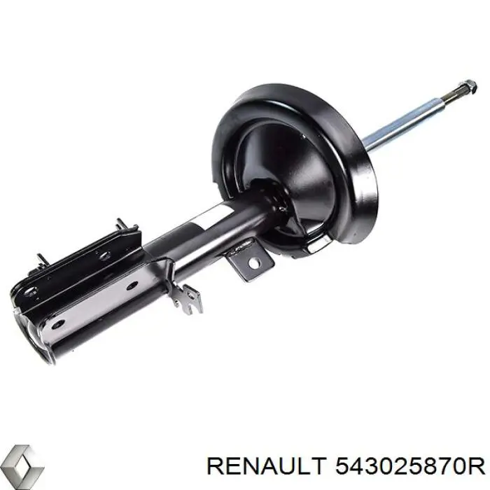 Стойка амортизатора передняя Renault (RVI) 543025870R ціна, від 49.60 USD