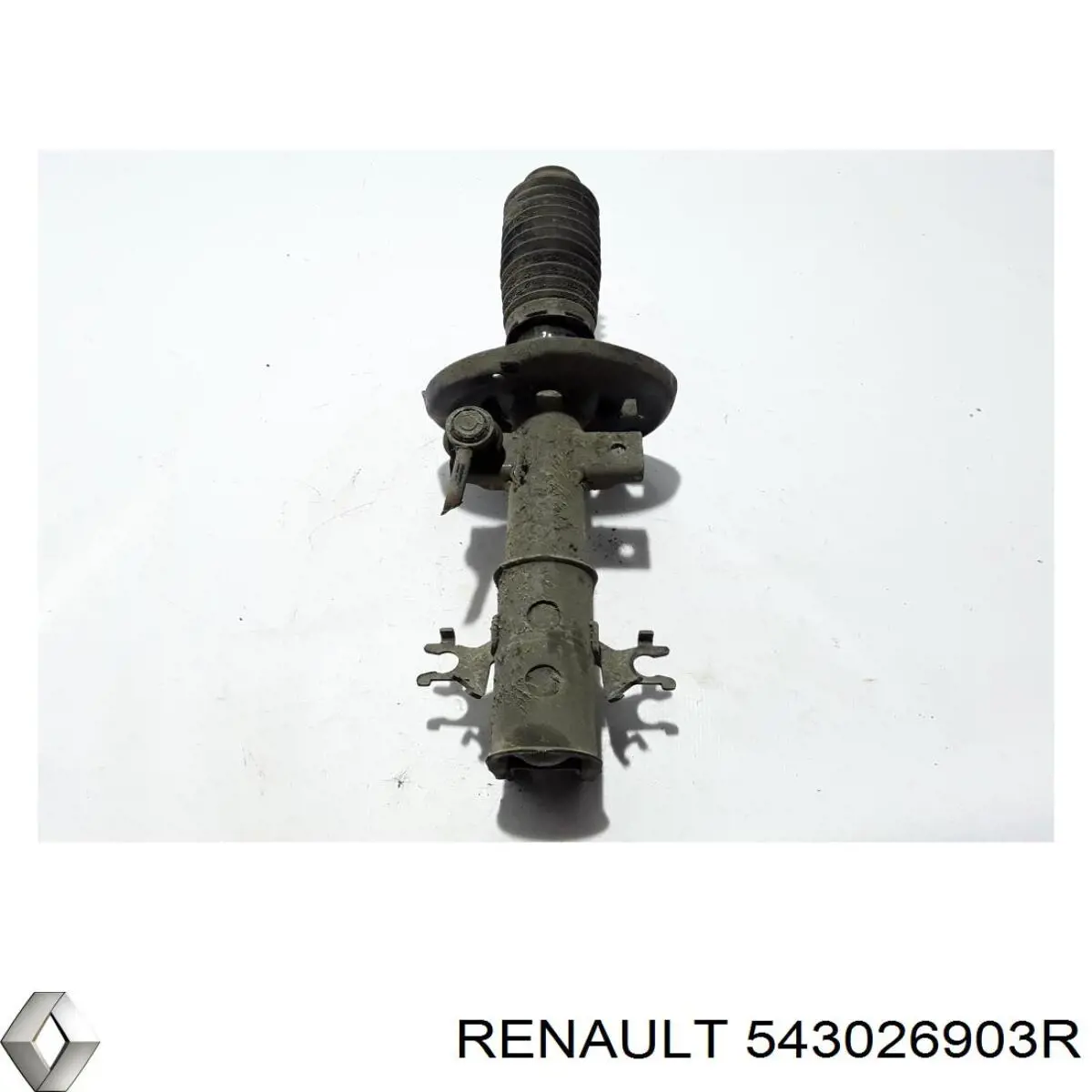Амортизатор передній, правий Renault (RVI) 543026903R ціна, від 103.24 USD