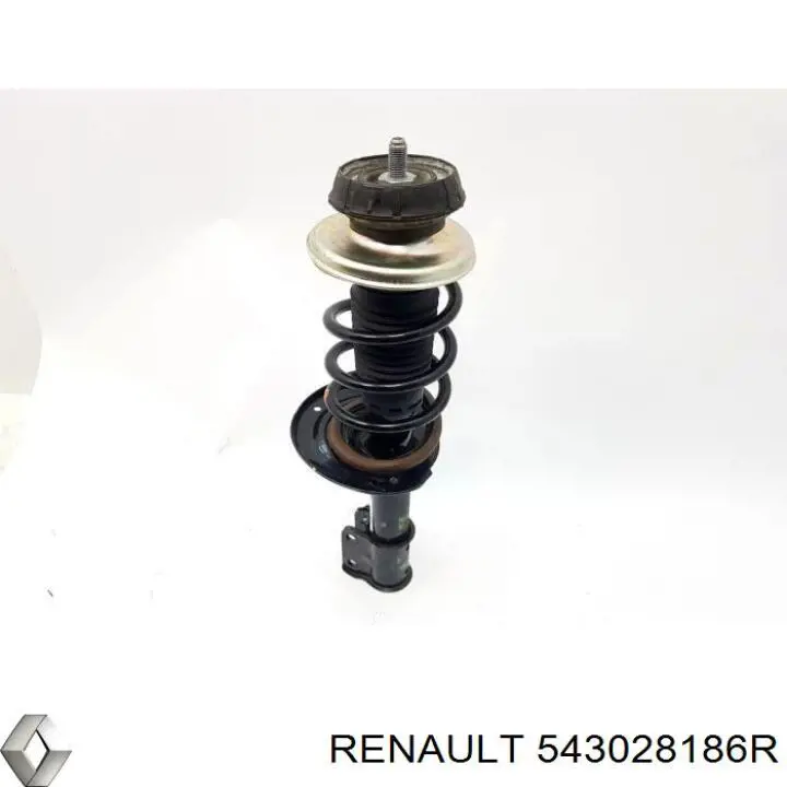 Купити RS315264 Raiso Амортизатор передньої підвіски