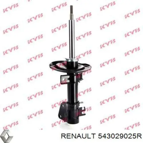 Стойка амортизатора передняя Renault (RVI) 543029025R ціна, від 127.46 USD