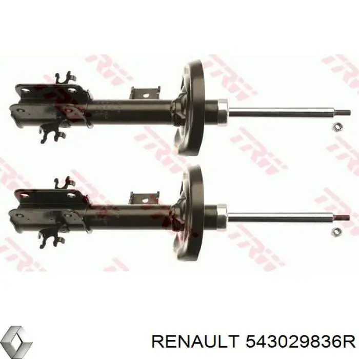 543029836R Renault (RVI) Амортизатор передньої підвіски
