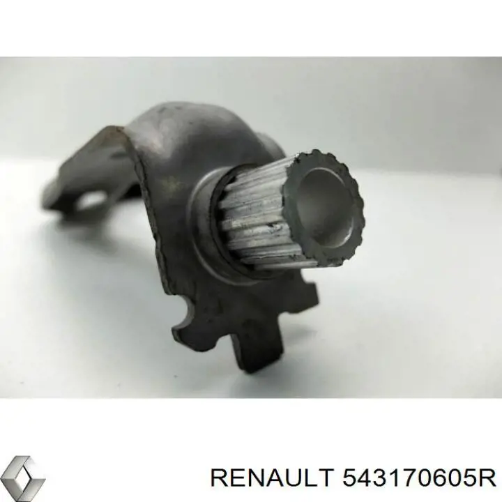 Елементи кріплення Renault (RVI) 543170605R ціна, від 15.25 USD