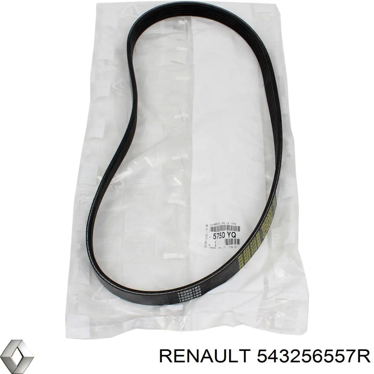 Підшипник опорний амортизатора, переднього 543256557R Renault (RVI)