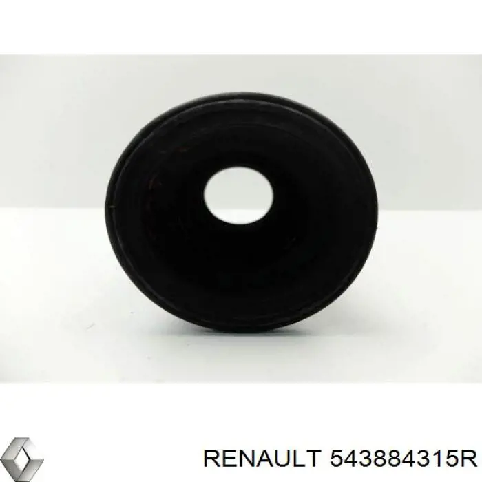 Купити 543884315R Renault (RVI) Пильник амортизатора переднього
