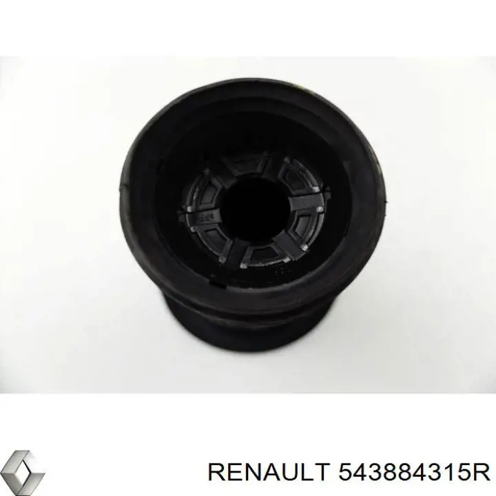 Пильник амортизатора переднього Renault (RVI) 543884315R ціна, від 9.17 USD
