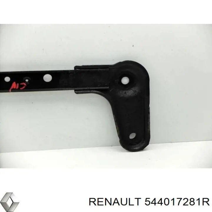  Renault (RVI) 544017281R