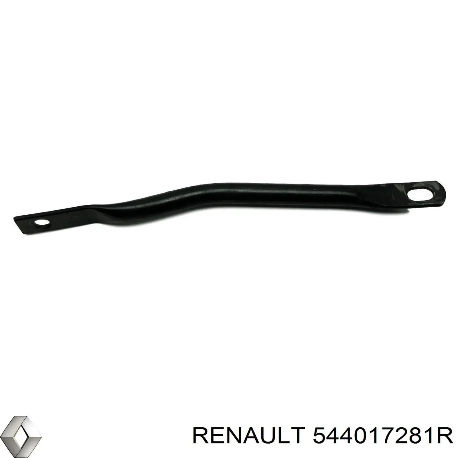 544017281R Renault (RVI) 
