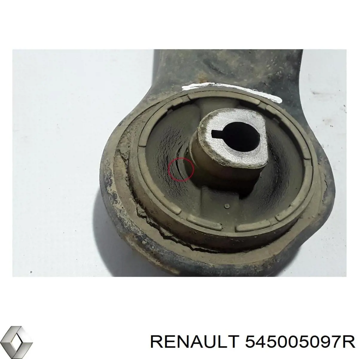 Купити 545005097R Renault (RVI) 