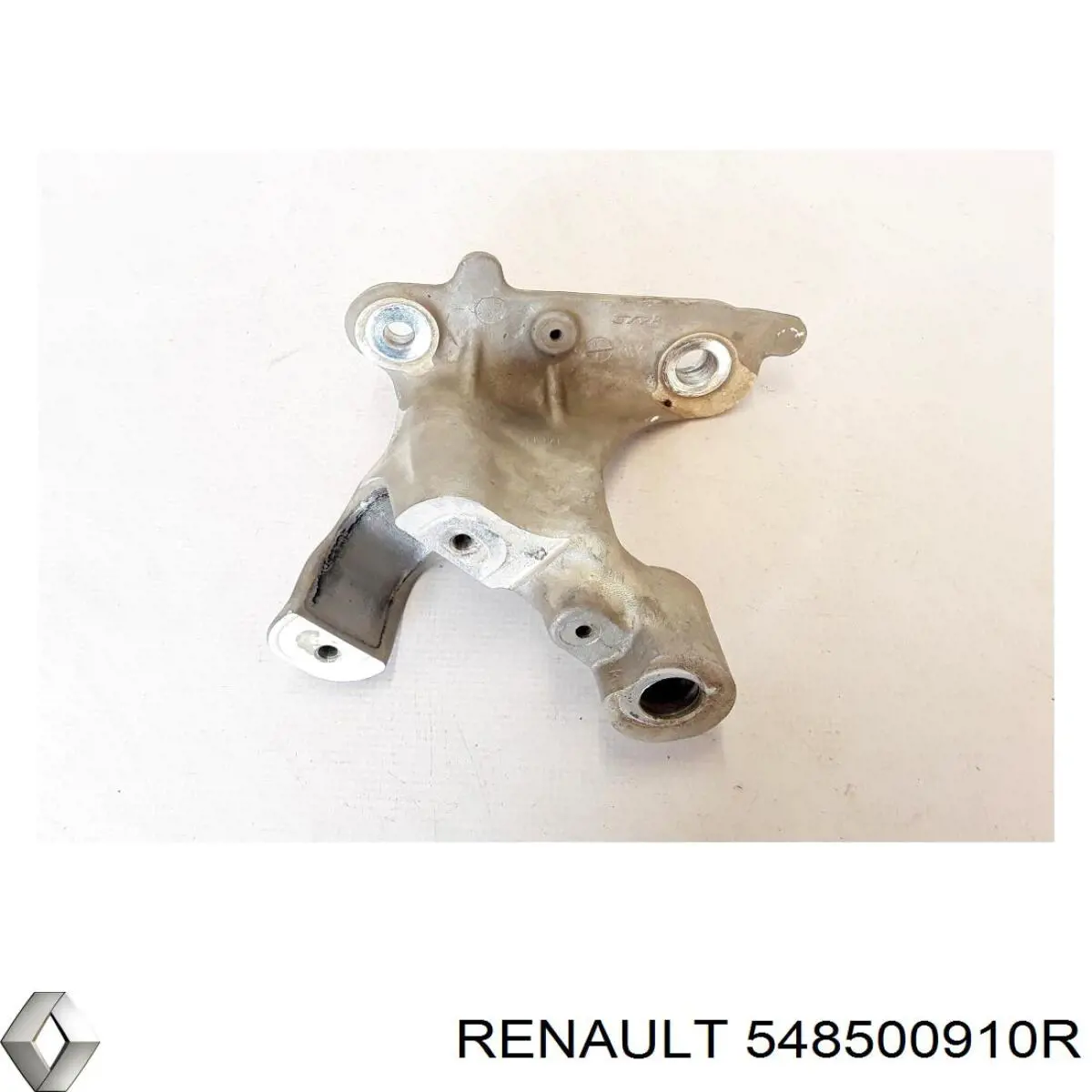 548500910R Renault (RVI) 