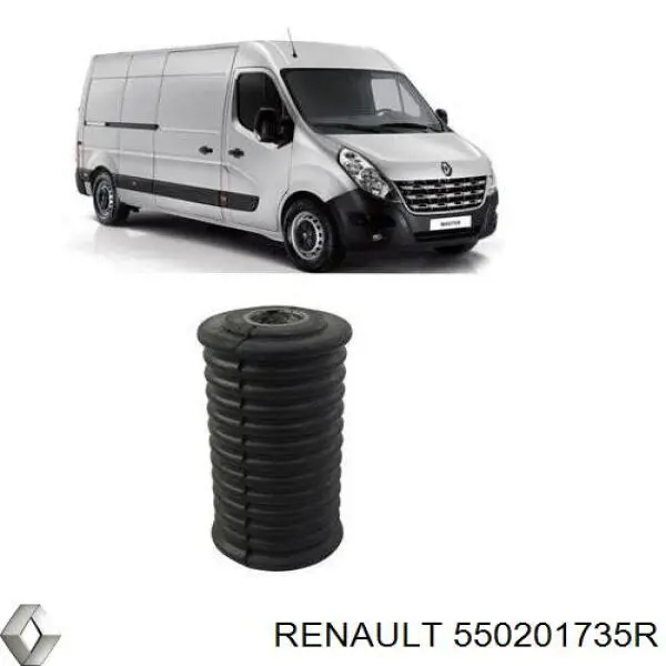 Ресори додаткові Renault (RVI) 550201735R ціна, від 76.10 USD