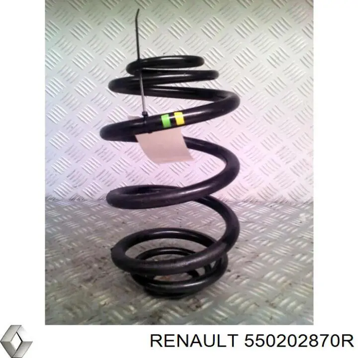 Пружина задня Renault (RVI) 550202870R ціна, від 43.45 USD