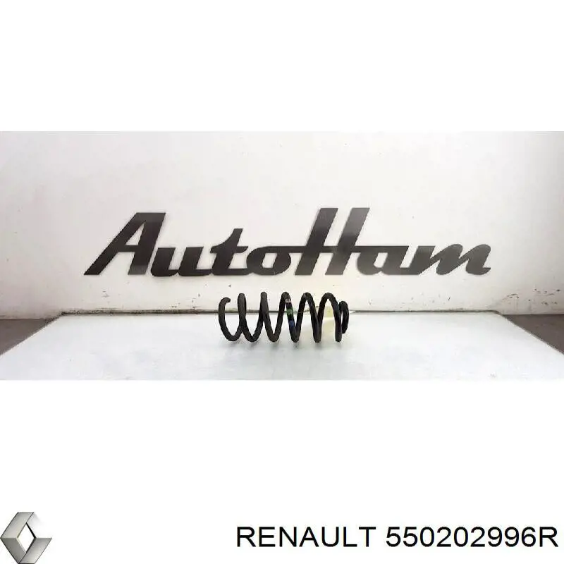 Пружина задня Renault (RVI) 550202996R ціна, від 21.26 USD