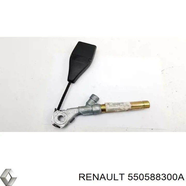550588300A Renault (RVI) 