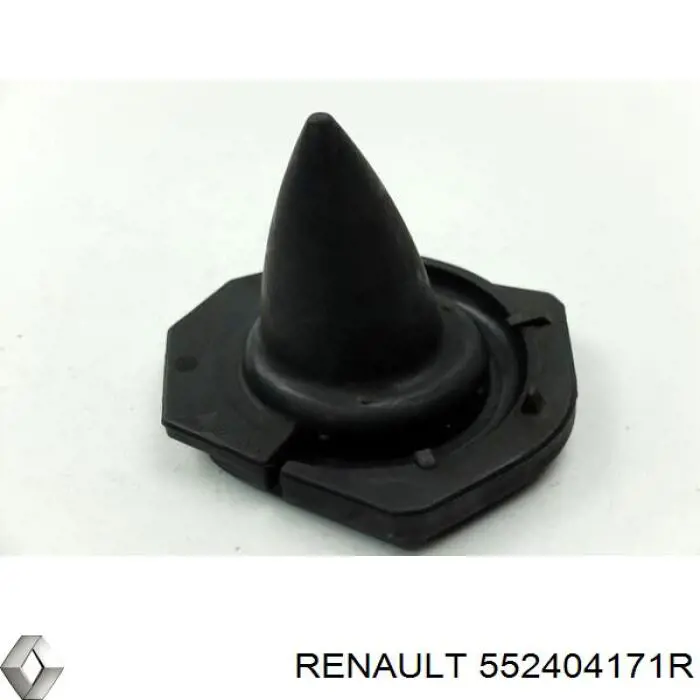  Renault (RVI) 552404171R ціна, від 22.80 USD