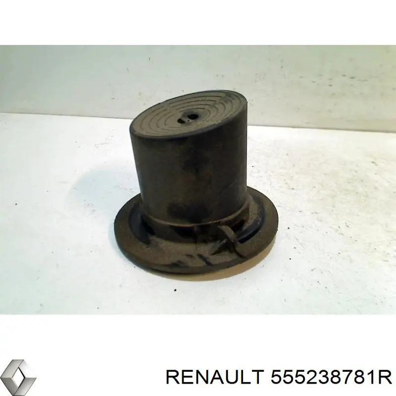  555238781R Renault (RVI)