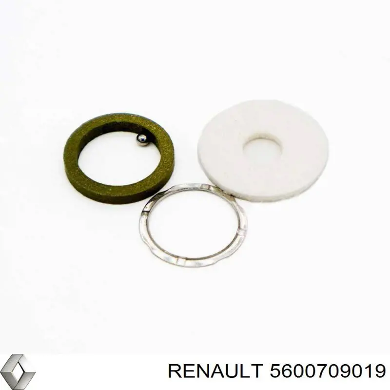 5600709019 Renault (RVI) Кільце інжектора