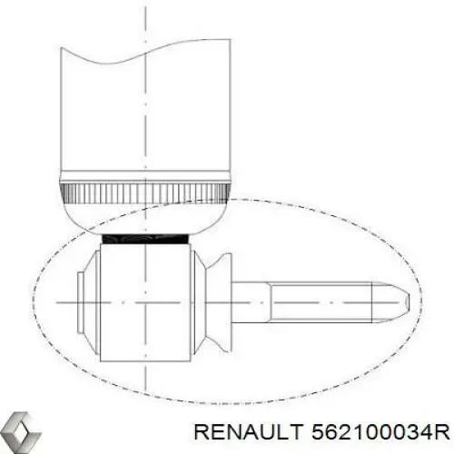 Амортизатор задній 562100034R Renault (RVI)