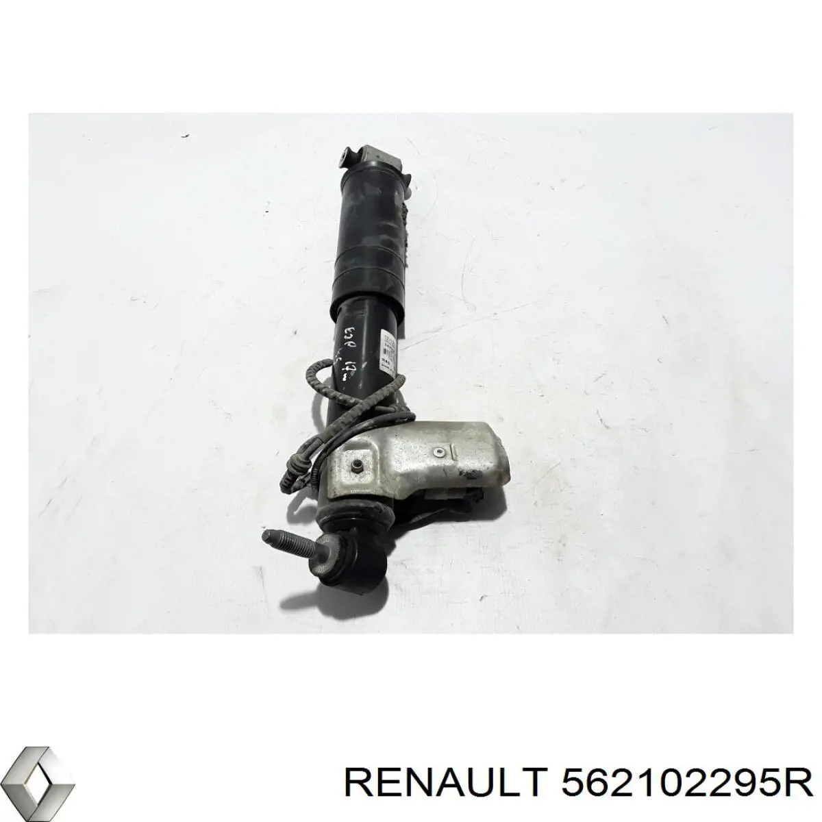 562102295R Renault (RVI) 
