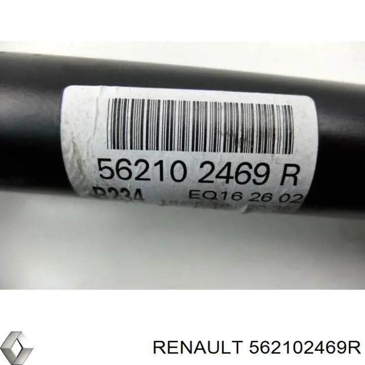 562102469R Renault (RVI) Амортизатори задні