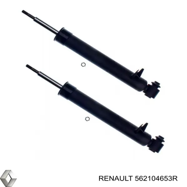 8660005989 Renault (RVI) Амортизатори задні