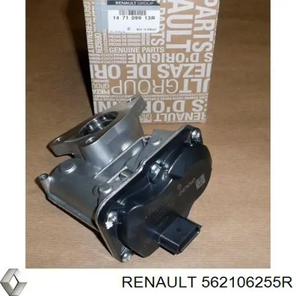 Амортизатор задній 562106255R Renault (RVI)