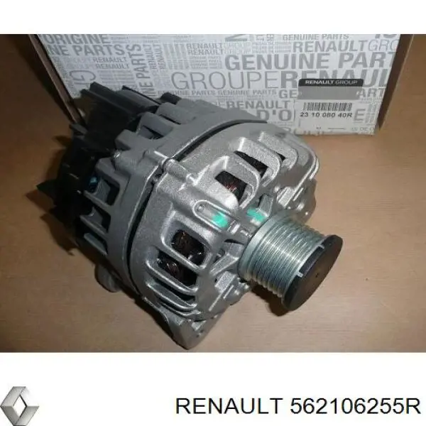 Задній амортизатор Renault (RVI) 562106255R