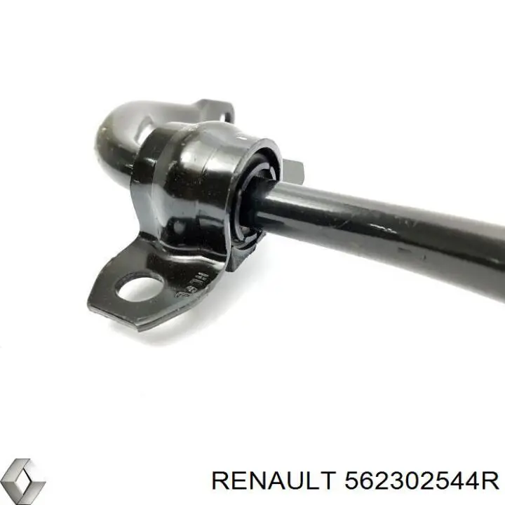 Стабілізатор задній Renault Koleos (HY0) (Рено Колеос)