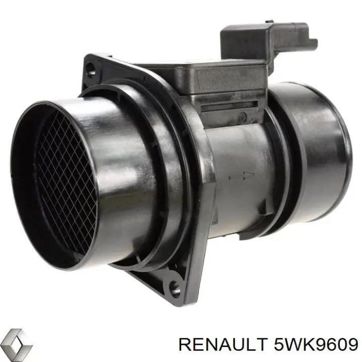 Купити 5WK9609 Renault (RVI) Повітромір