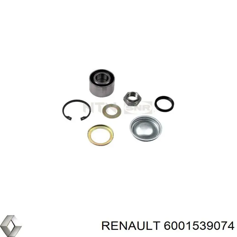 Підшипник задньої ступиці 6001539074 Renault (RVI)